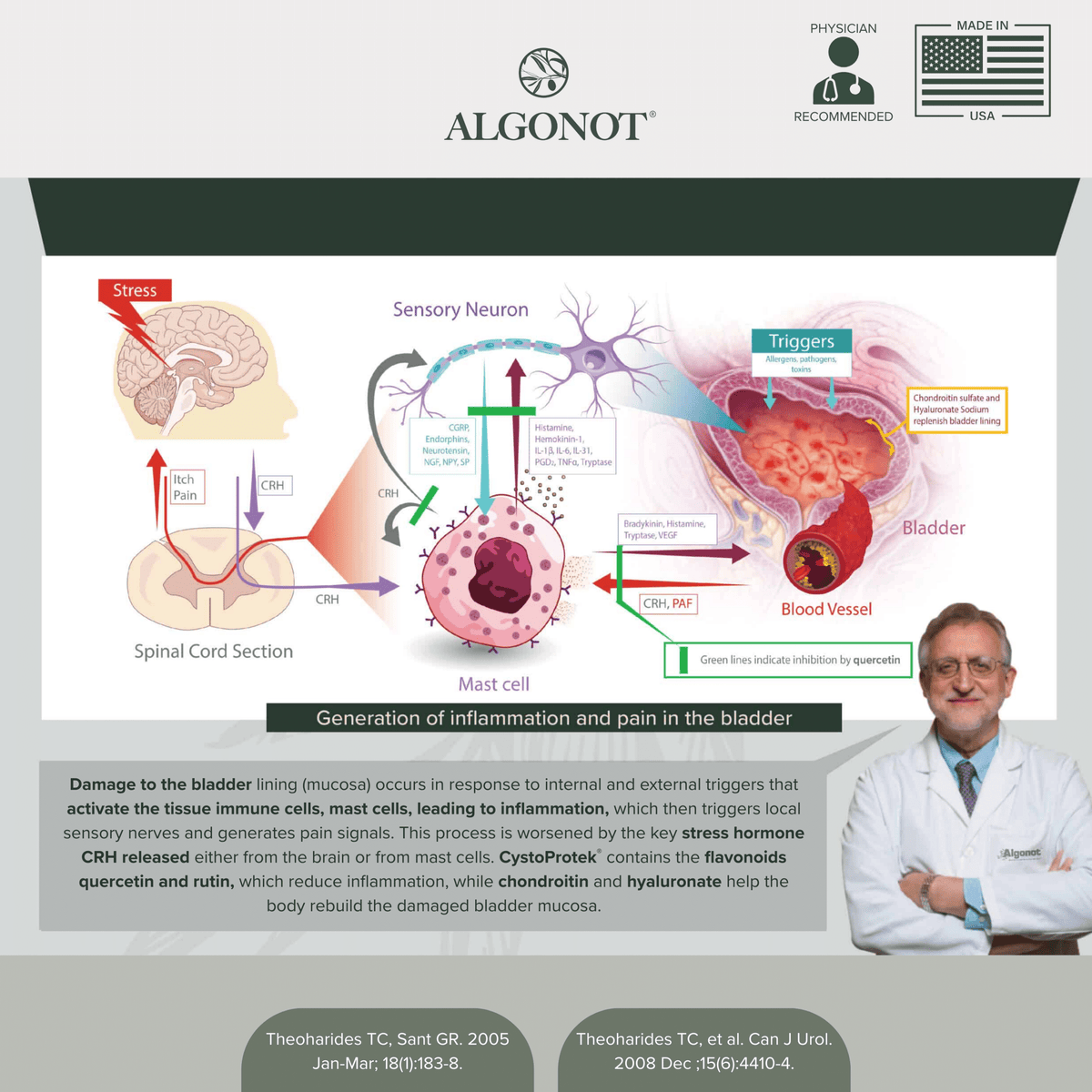 Diagram of bladder inflammation and pain mechanism with a doctor and Algonot branding.