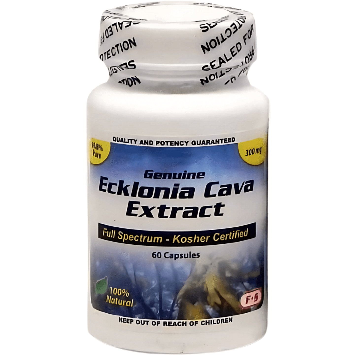 Pure Ecklonia Cava Extract Capsules product bottle displaying 300 mg, 60 capsules, full spectrum, kosher certified.