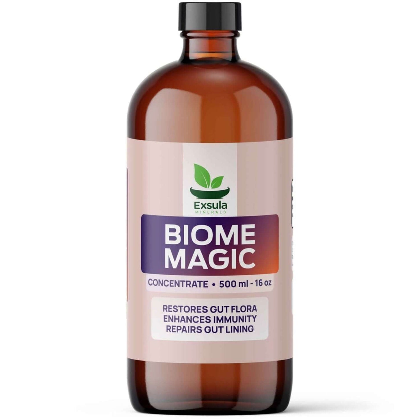 Exsula Superfoods Biome Magic Microbiome Balance supplement bottle, 500 ml, promotes gut health and immunity.