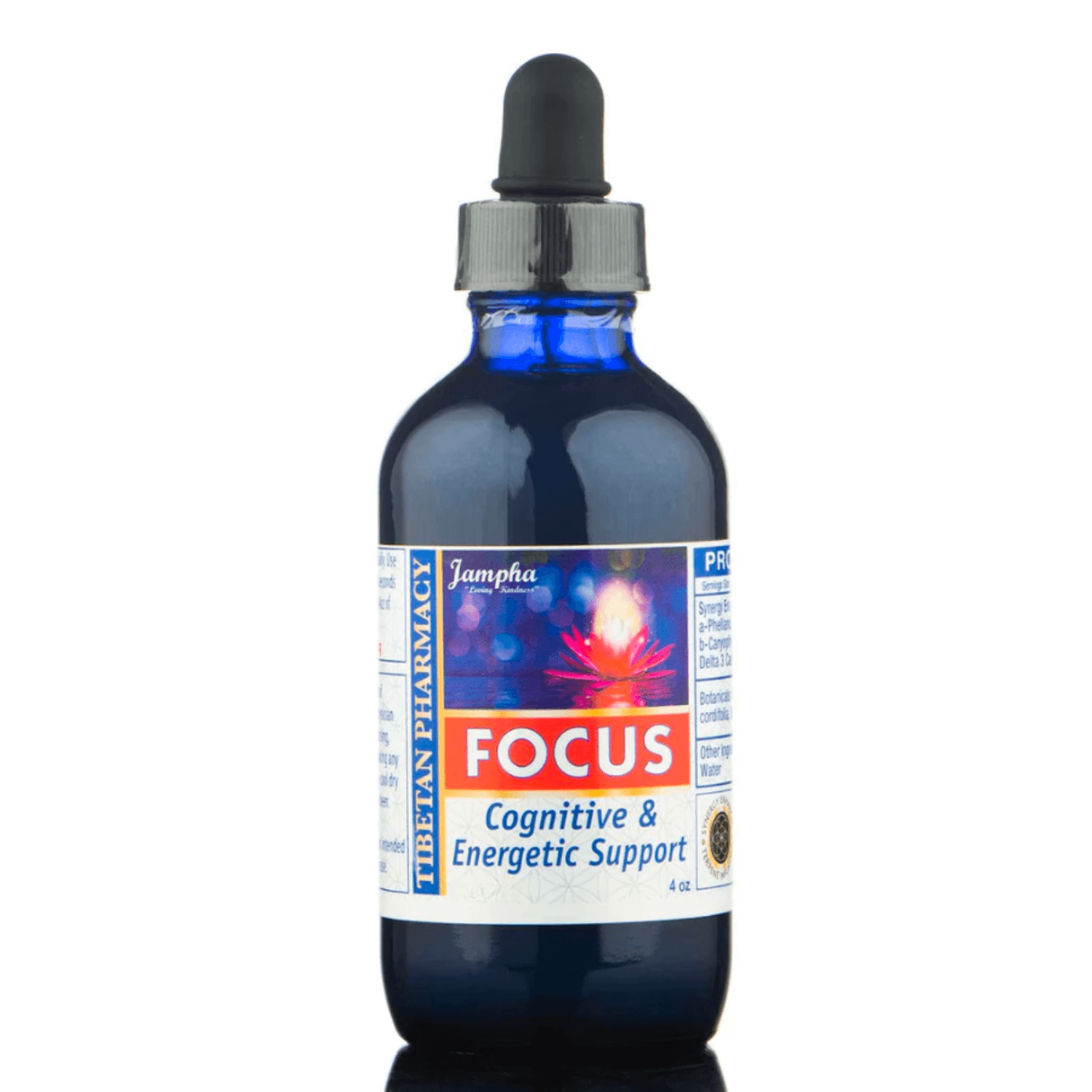 Focus for Cognitive Enhancement and Mental Clarity 120ml bottle.