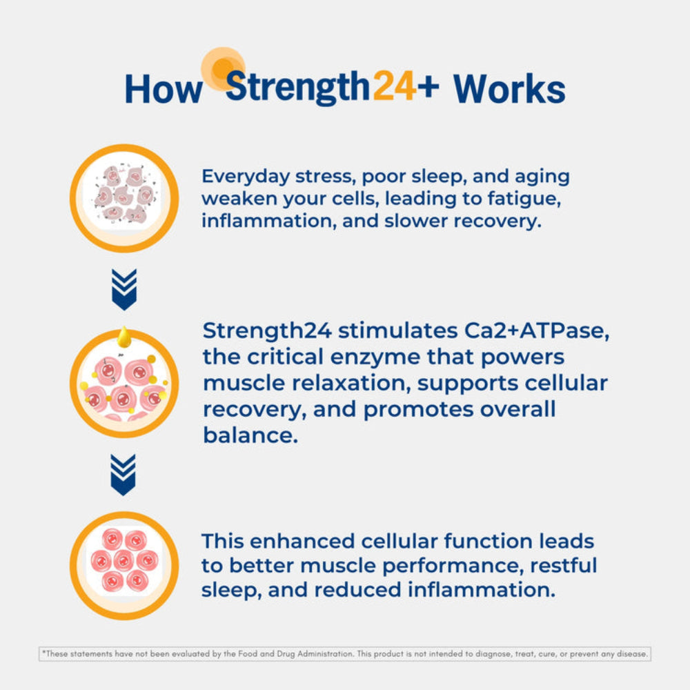 Infographic explaining how Strength24+ enhances cellular health, muscle performance, and promotes recovery.