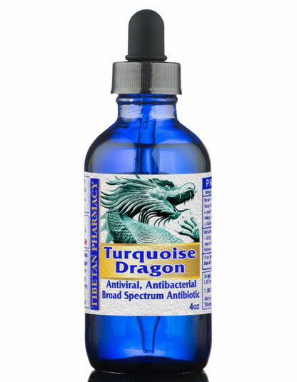 Blue glass bottle with dropper labeled 'Turquoise Dragon' on a white background