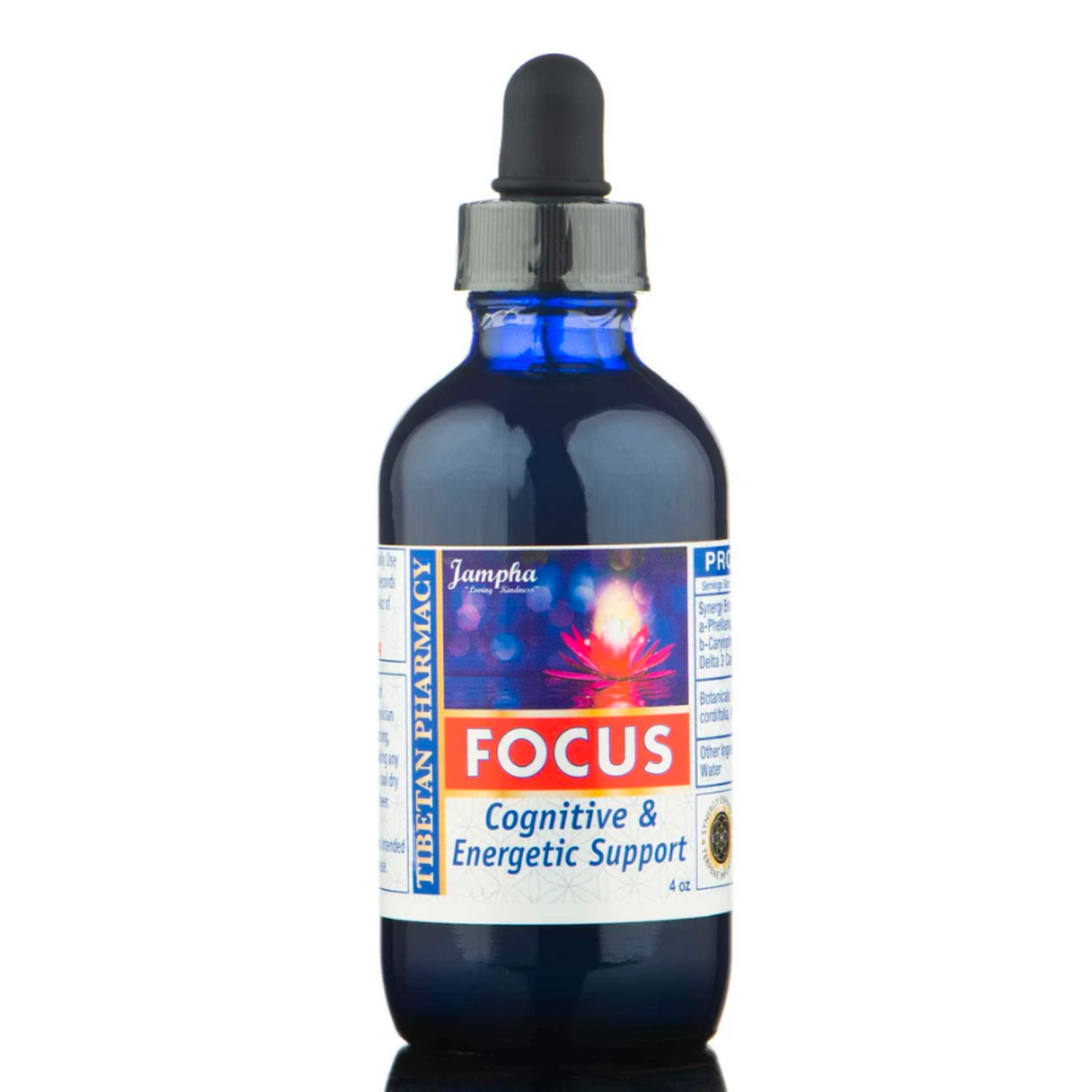 Bottle of 'Focus Cognitive & Energetic Support' supplement with a dropper on a white background