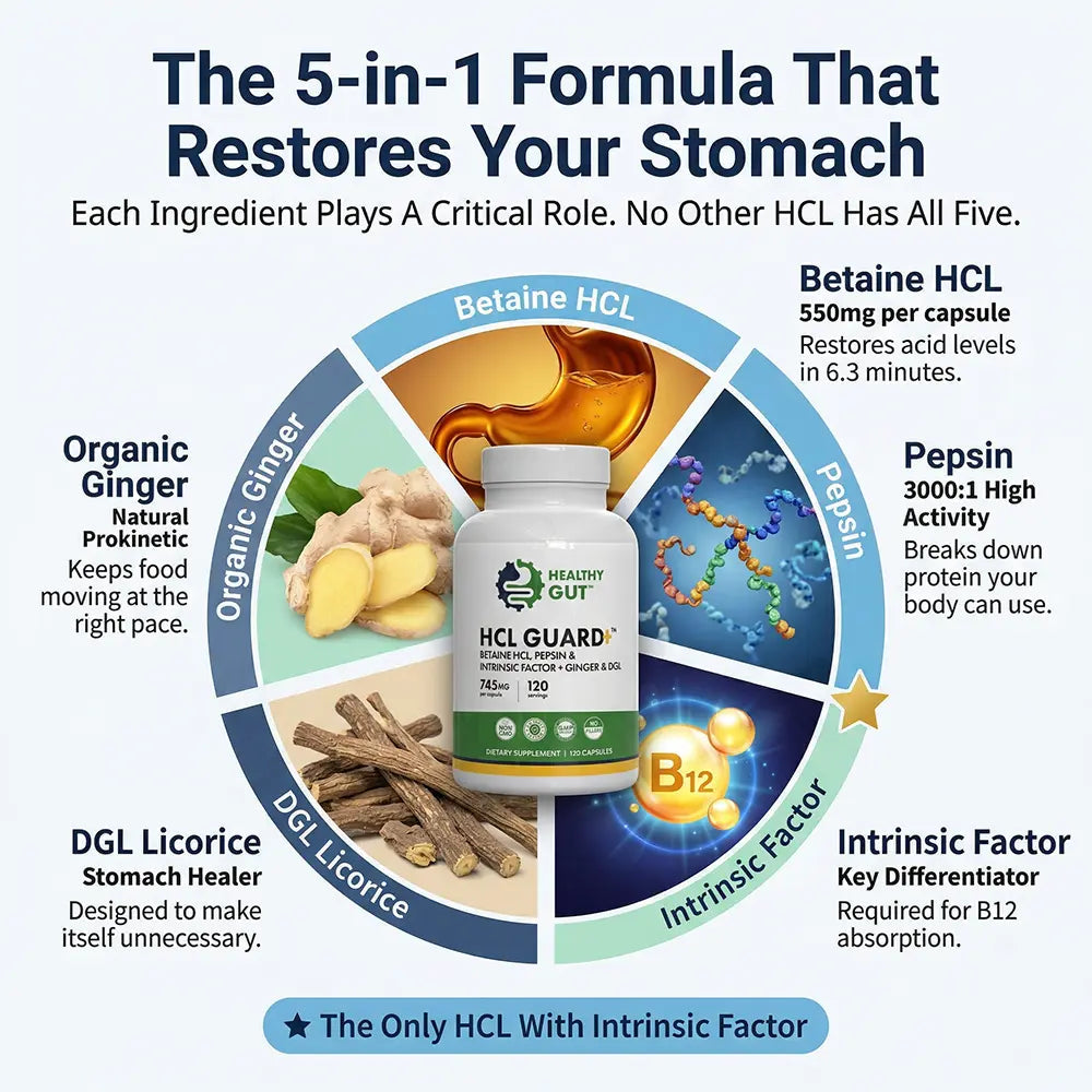 HCL Guard - Betaine HCl and Digestive Enzymes infographic showing key ingredients.