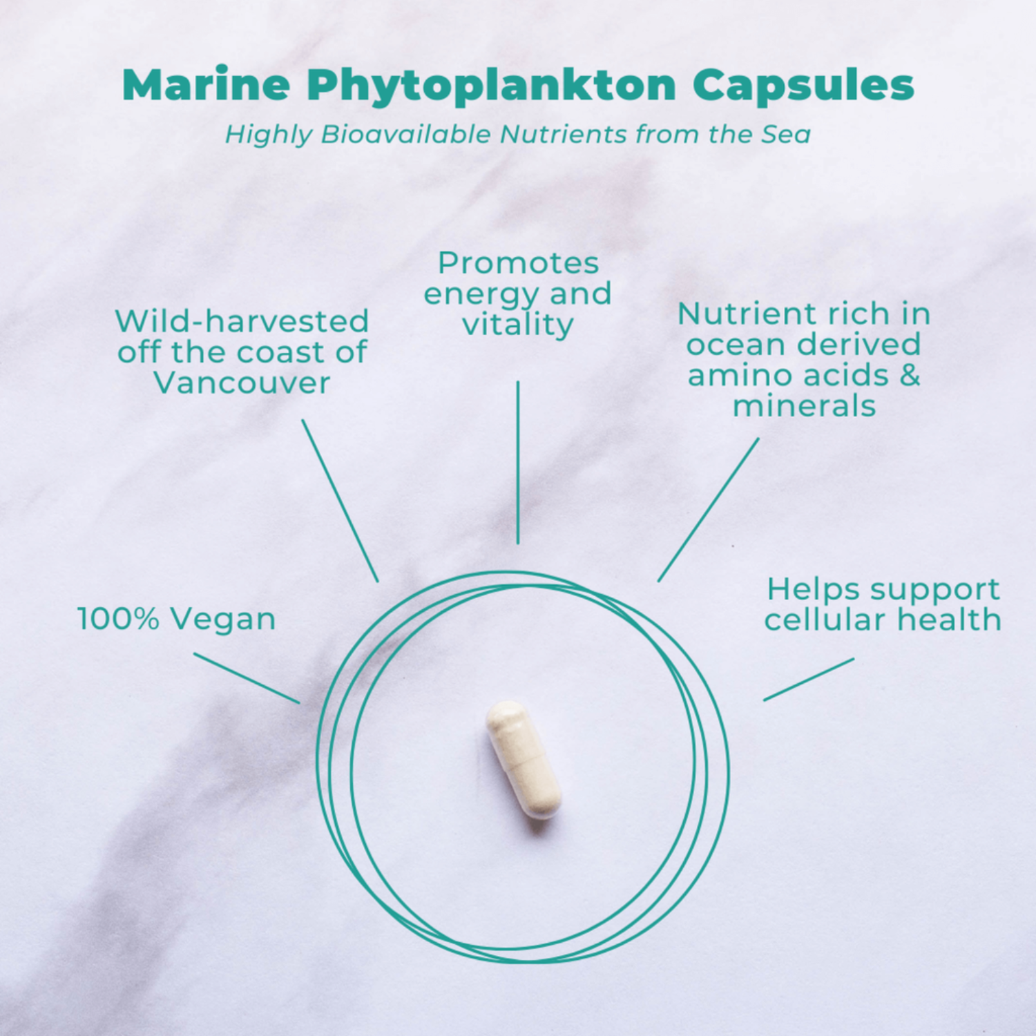 Marine Phytoplankton Capsules with text highlighting benefits on a light background