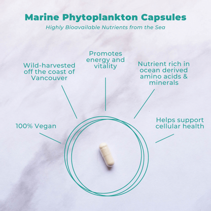 Marine Phytoplankton Capsules with text highlighting benefits on a light background