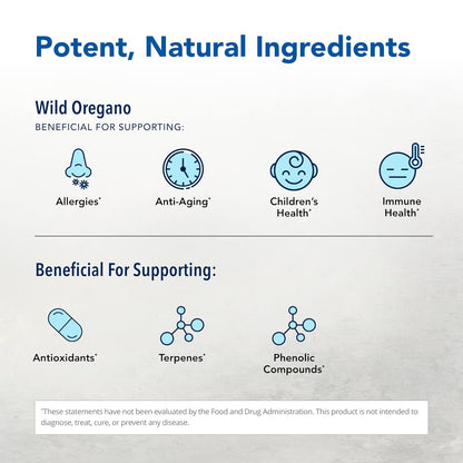 Infographic about wild oregano benefits for health on a light gray background