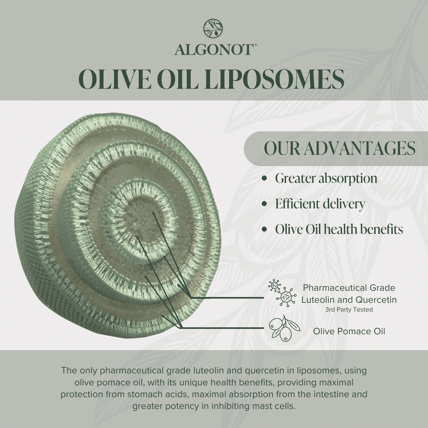 Olive Oil Liposomes Luteolin Quercetin Rutin Supplement advantages including greater absorption and health benefits with luteolin and quercetin.