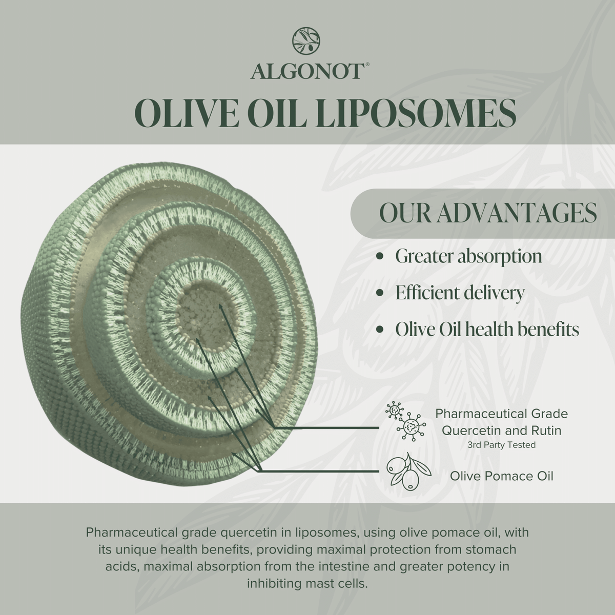 Algonot Olive Oil Liposomes product graphic showing a cross-section of a greenish textured liposome with callout lines and text listing advantages including greater absorption, efficient delivery, and olive oil health benefits.