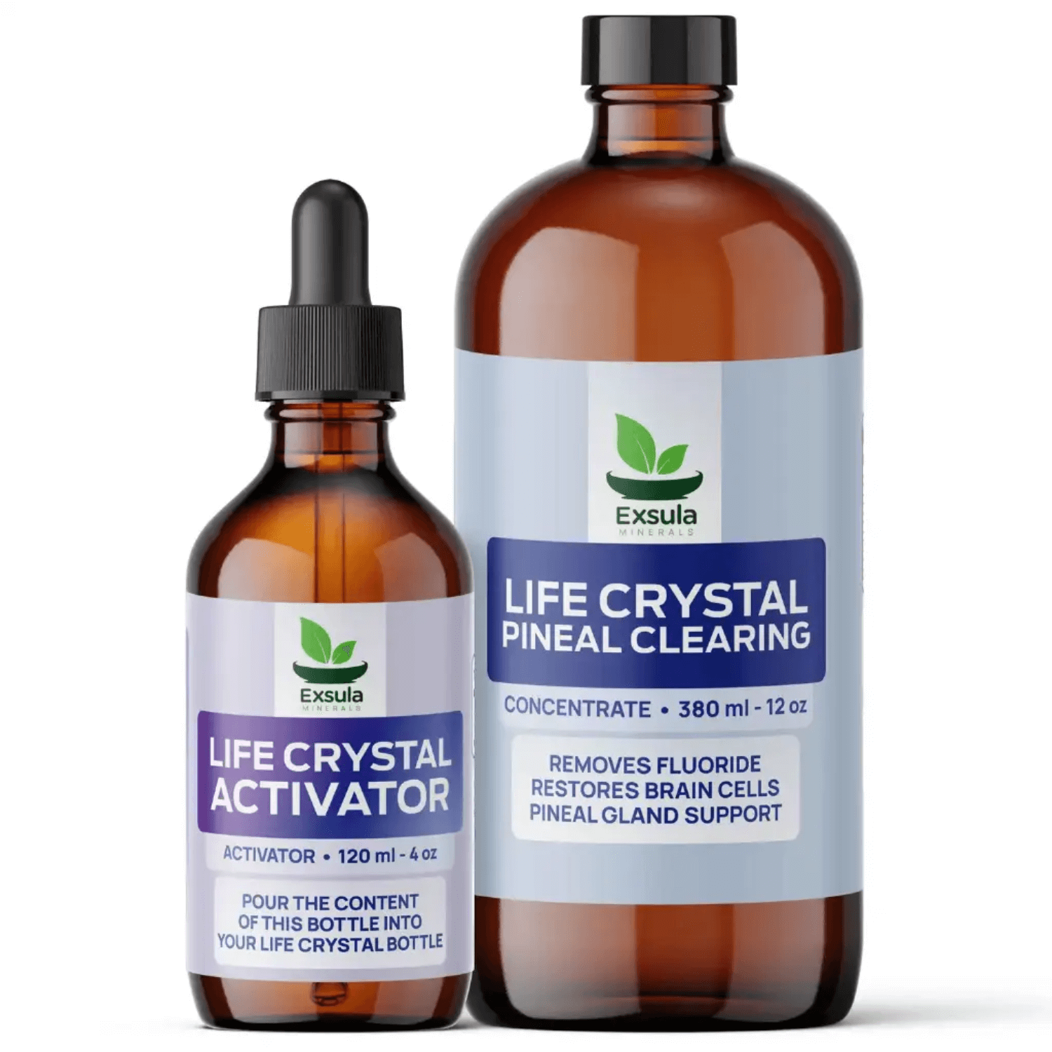 Exsula Minerals Pineal Gland and Brain Supplement bottles, featuring Life Crystal Pineal Clearing and Activator.