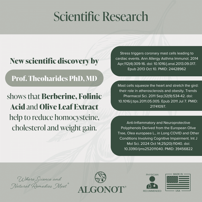 Scientific research on Cardiovascular Health Supplement featuring berberine, folinic acid, olive leaf extract for heart health.