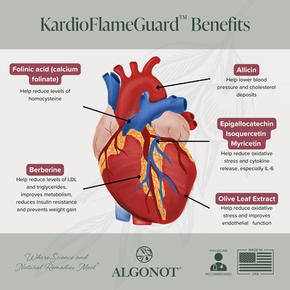 Kardio Flame Guard benefits for cardiovascular health supplement, featuring ingredients like allicin and berberine.