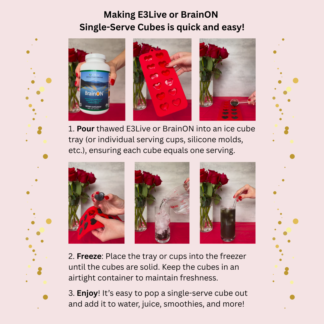 Instructions for making E3Live or BrainON single-serve cubes with visual steps.