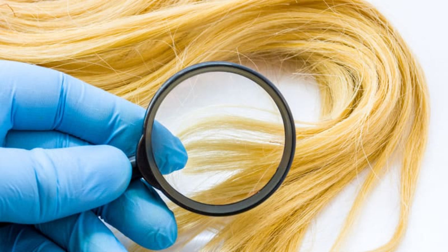 blue gloved hand holding a magnifying glass over blonde hair