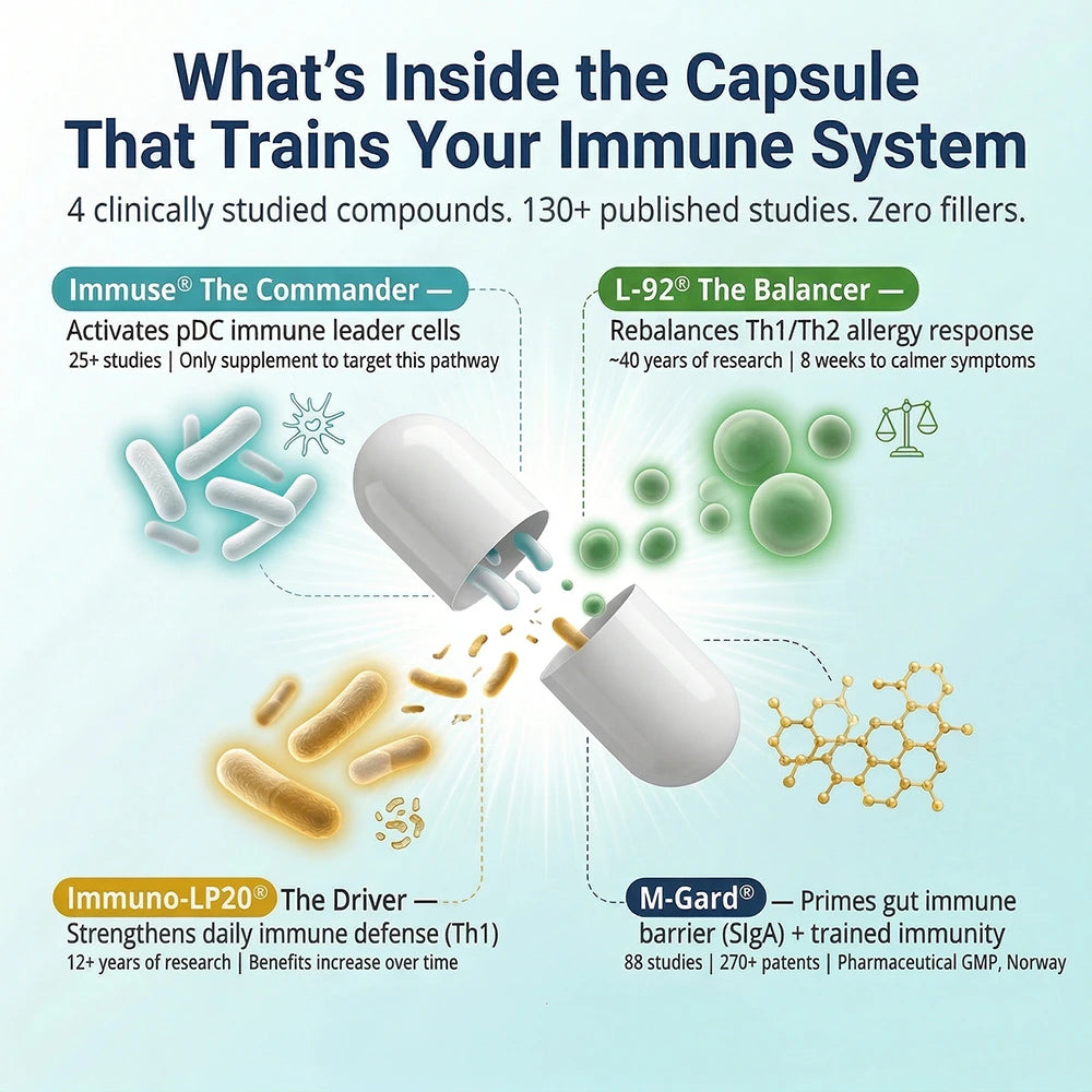 Infographic showing HoloImmune Adaptogenic ParaProbiotic ingredients and their benefits for immune system training.