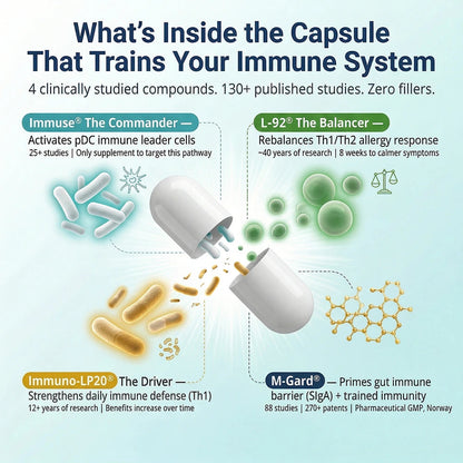Infographic showing HoloImmune Adaptogenic ParaProbiotic ingredients and their benefits for immune system training.