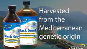 Oil of Black Seed