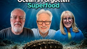 Sea Cucumber Powder