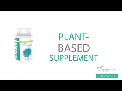 Marine Phytoplankton