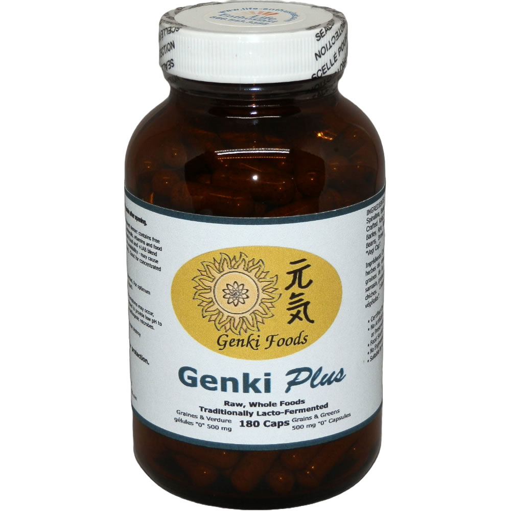 [GKGP180] Genki Plus