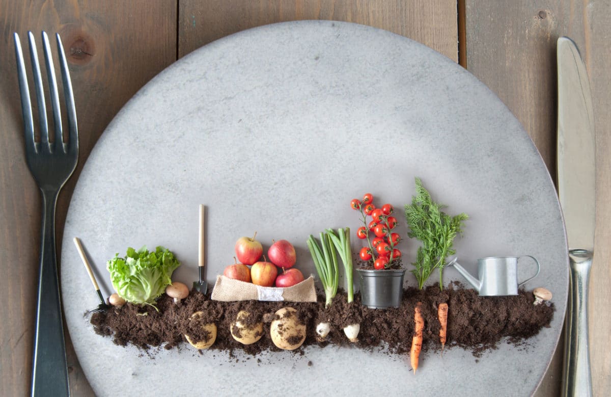 Vegetables and Soil on Dinner Plate