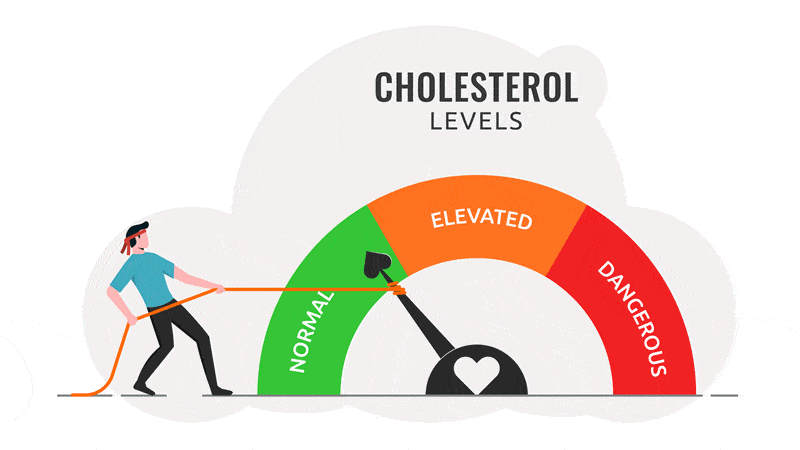 cholesterol level gauge