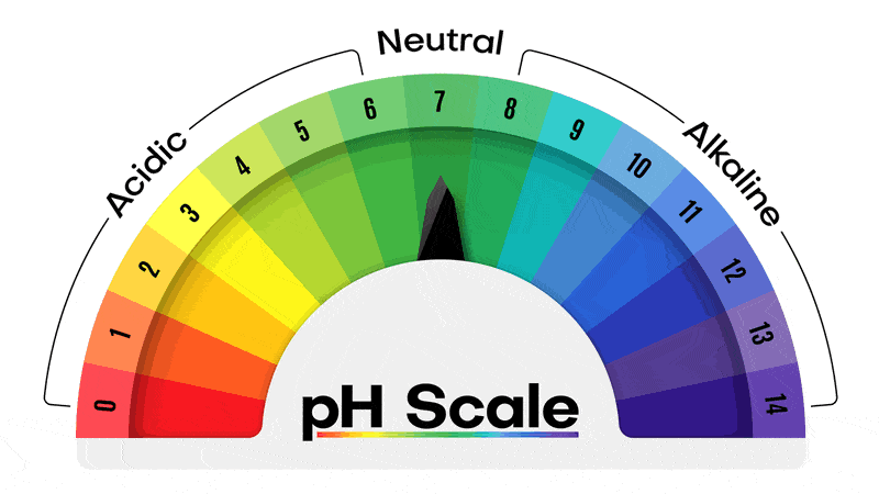 pH Gauge: Acidic, Neutral and Alkaline